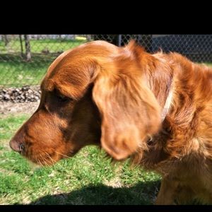 Meet your Posher, David